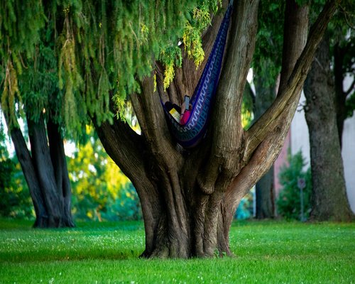 Woman relaxing in nature with sunlight